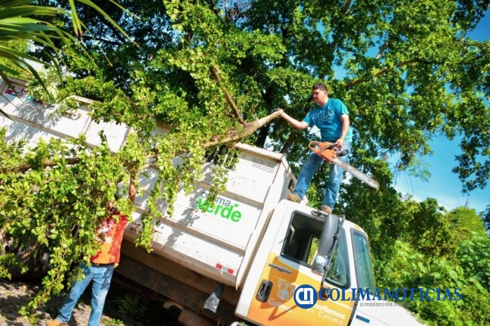 La ciudad de Colima en constante mantenimiento y embellecimiento
