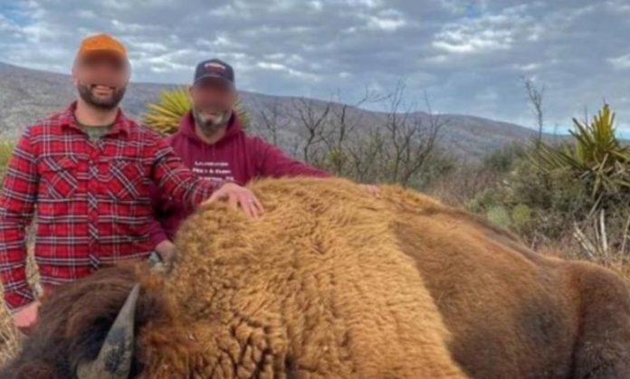 caza-de-bisontes-en-coahuila-rancho-buena-vista-780x470