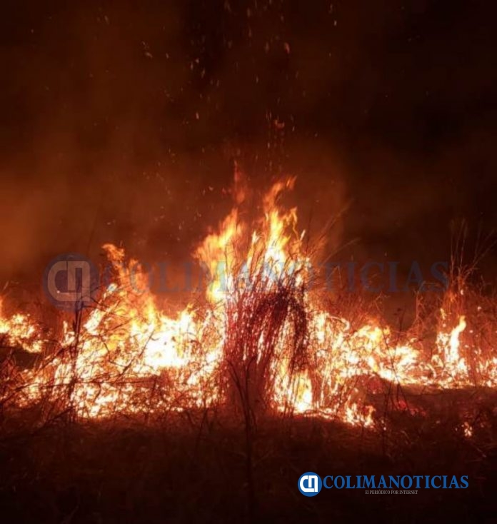 incendio en pastizales3
