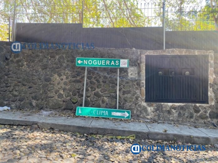Nogueras en Comala
