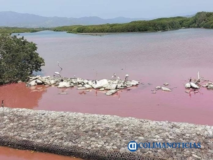 laguna se pone rosa 2
