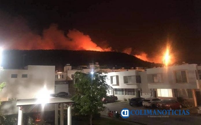 Bosque la primavera incendio