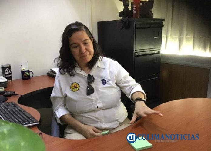 Elena Elsa Bricio Barrios