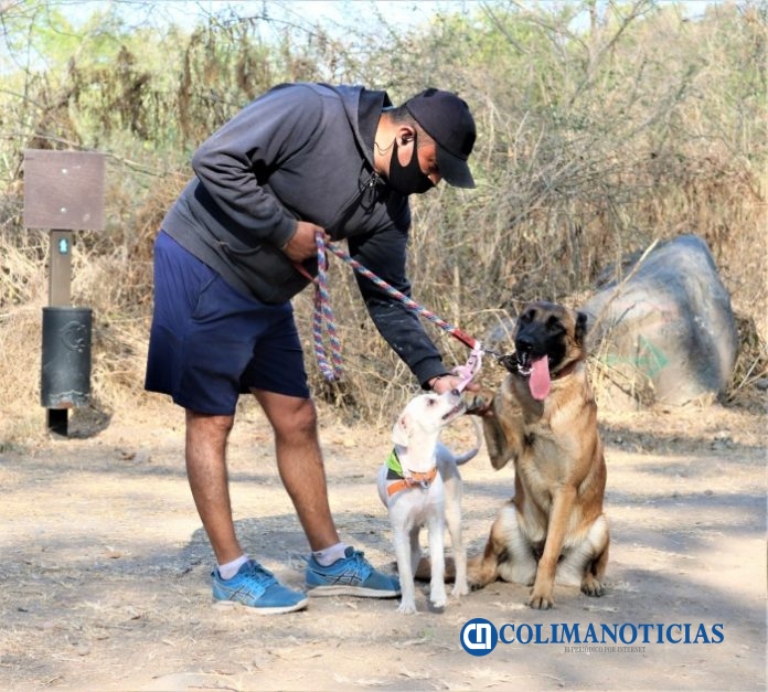 ejercicio y mascotas