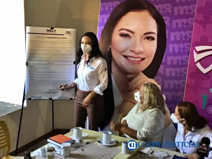 mely pacto seguridad