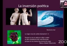 Analizan amistad literaria y homosexual de Novo y Villaurrutia