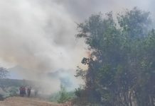 Sofocan incendio de pastizales en el Barrio V del Valle de las Garzas