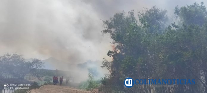 Sofocan incendio de pastizales en el Barrio V del Valle de las Garzas