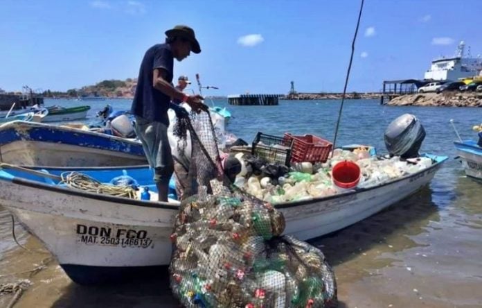 sinaloa en linea trejo