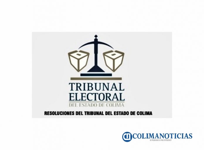 Tribunal Electoral del Estado logo