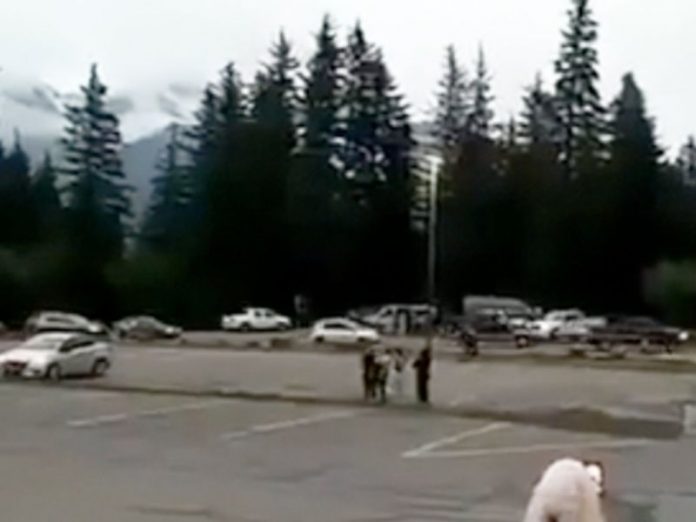 alaska sismo