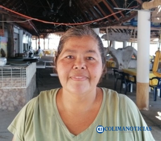 comercios en Ejido La Culebra