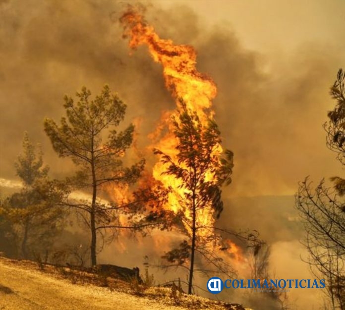 Gran ola de calor aviva incendios forestales en Turquía