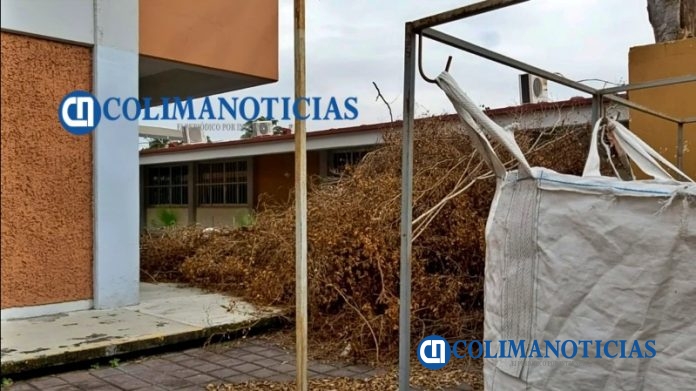 Limpian escuelas de Colima ante regreso a clases… pero no hay quien pase por la basura3