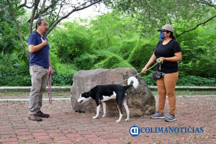 Realizan tercera jornada del Foro Canino Un Espacio con mi Can