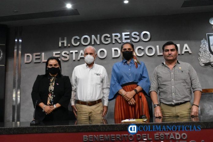comparecencia movilidad en congreso