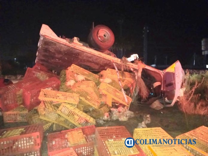 vuelca camioneta con pollos