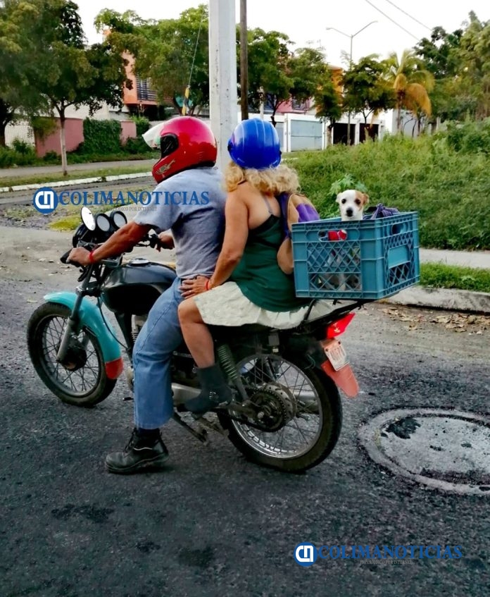 Perro Biker