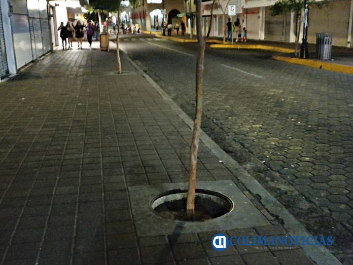 'Jardineras' de zona centro de Colima 6