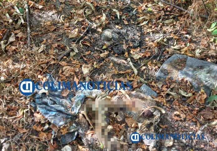 Reportan hallazgo de restos humanos rumbo a La Becerrera en Comala