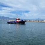 San Pedrito manzanillo 12