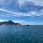 San Pedrito manzanillo