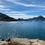 San Pedrito manzanillo 3