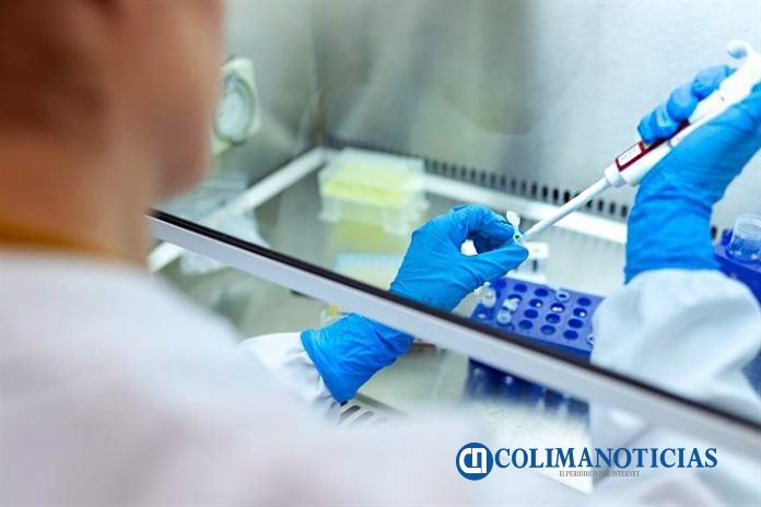 covid prueba sangre