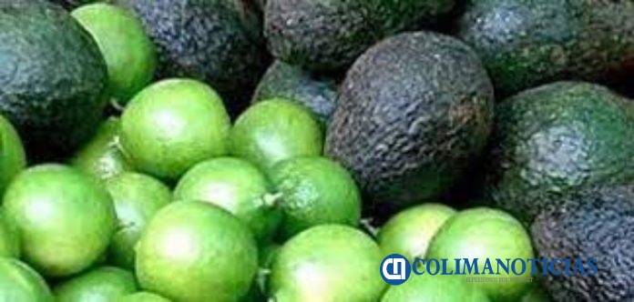 limon y aguacate