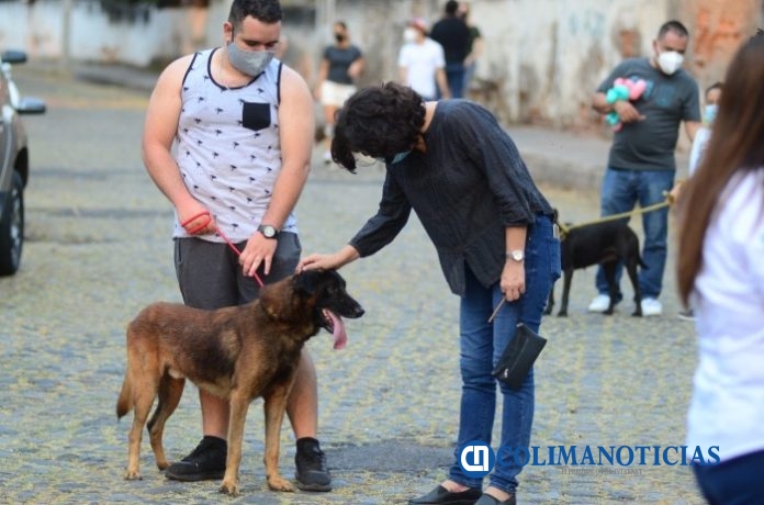 pasear a perro