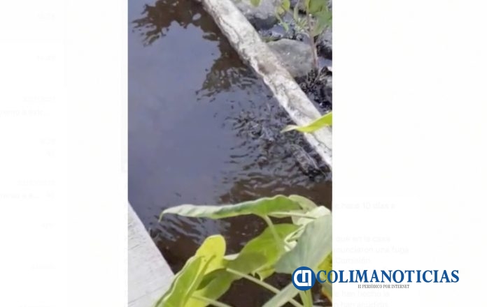 tiradero de agua reportada