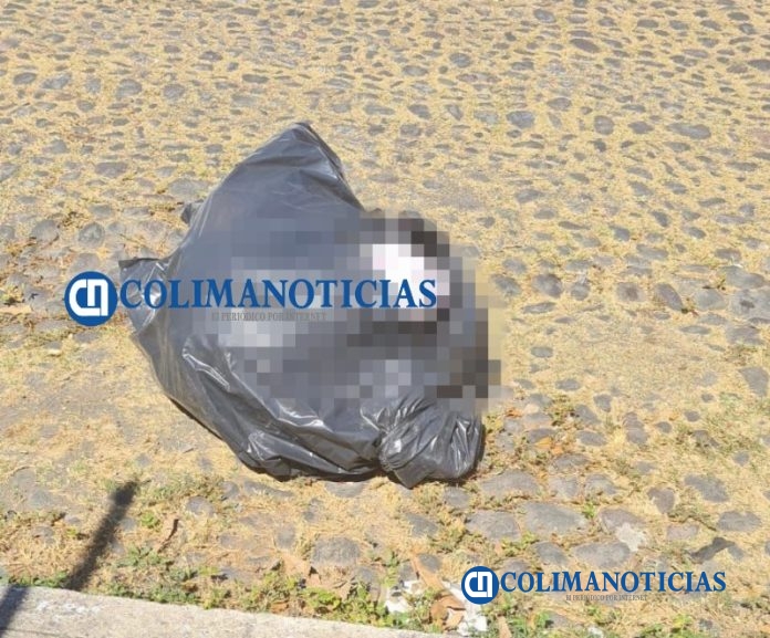 Localizan bolsa con restos humanos en la colonia Placetas Estadio