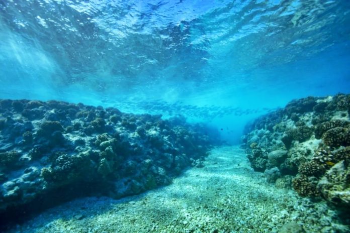 arrecife-tahiti