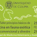 banner udec CURSO TALLER FAUNA COLIMA NOTICIAS 300 X 200