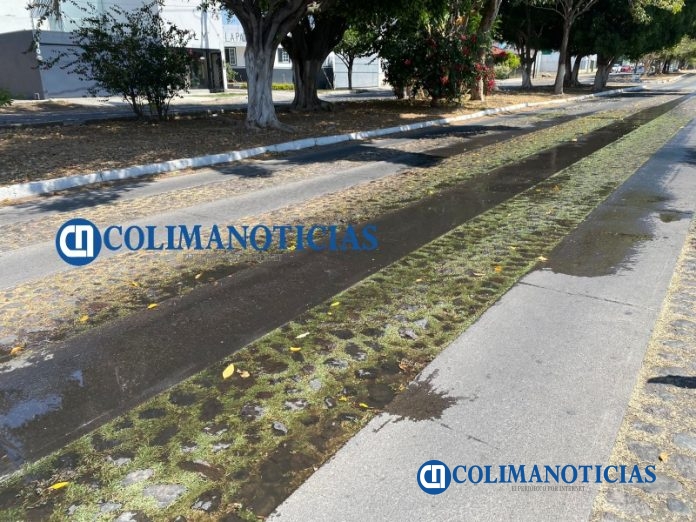 Denuncian aguas negras en Av. La Paz 2