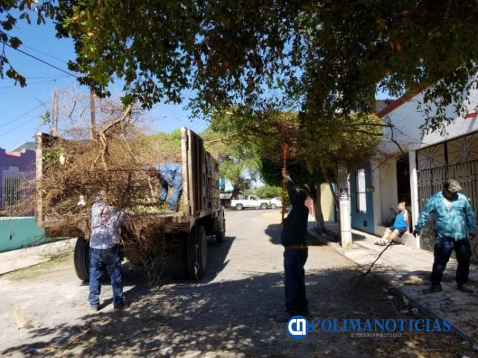 Ramas y cacharros 1
