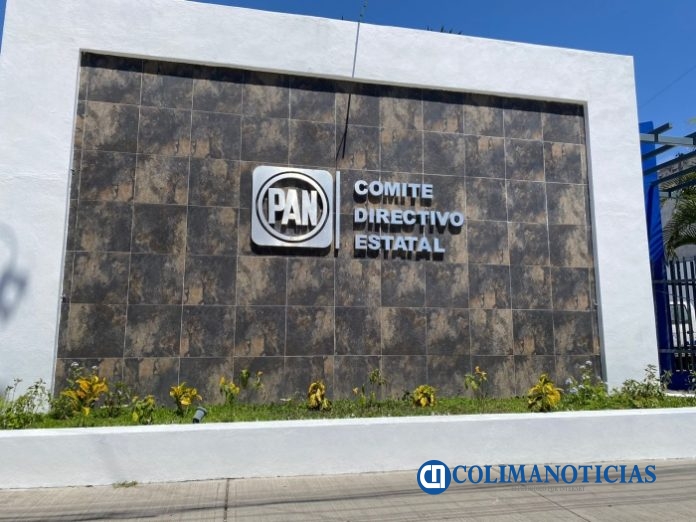 comite estatal pan