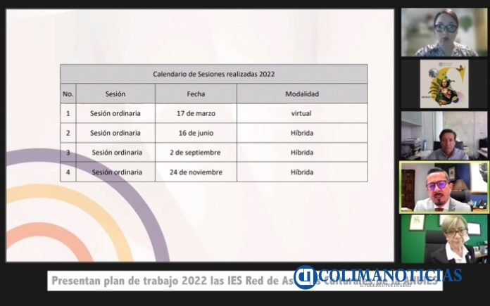 Presentan plan de trabajo 2022 las IES Red de Asuntos Culturales de la ANUIES_2