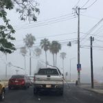 colima neblina