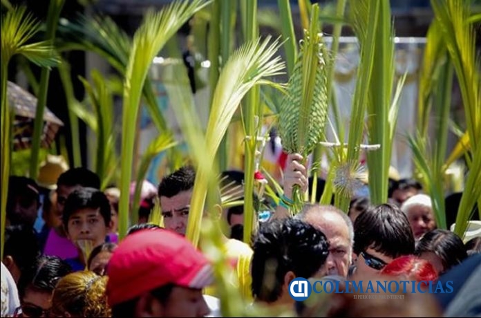 palmas-de-domingo de ramos