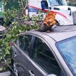 Causa bloqueo en el Libramiento caos vehicular y afectaciones en zona conurbada