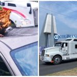 Causa bloqueo en el Libramiento caos vehicular y afectaciones en zona conurbada 22