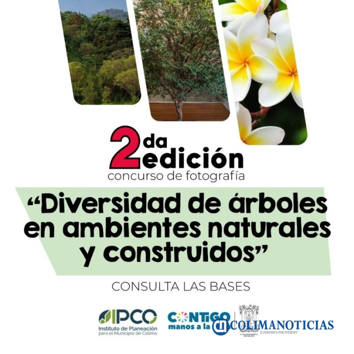 concurso de fotografia