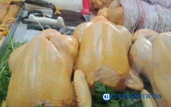 pollo