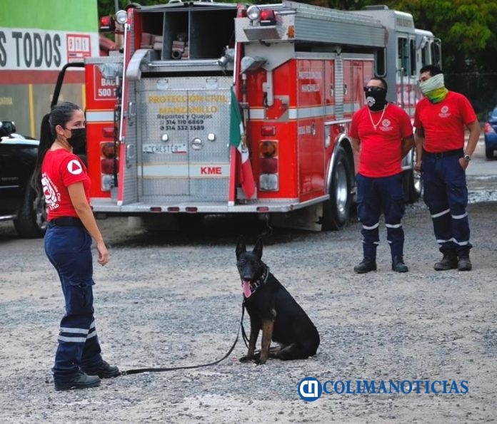 adiestramiento canino