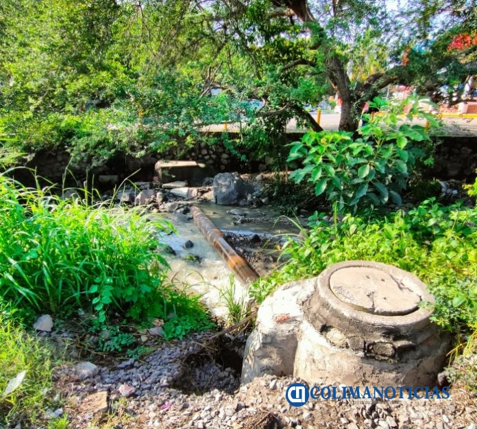 Denuncian afectaciones a la salud por aguas negras en arroyo El Tecolotero