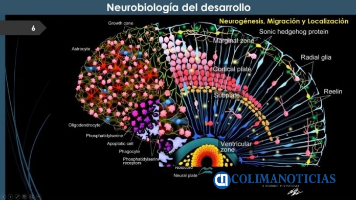 Imparten taller sobre neurodiversidad a personal de la UNIVA_c