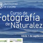 banner udec CURSO FOTOGRAFÍA COLIMA NOTICIAS 300 X 250