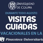 banner udec VISITAS ago2022