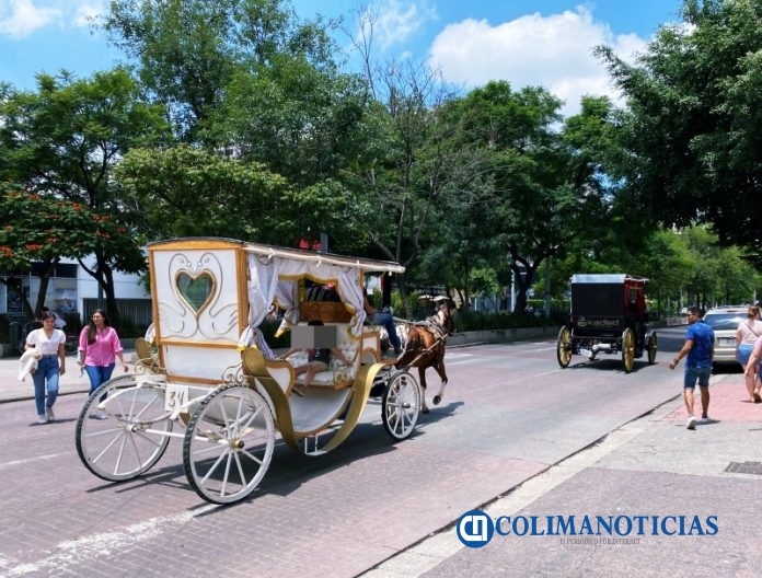 calandrias guadalajara
